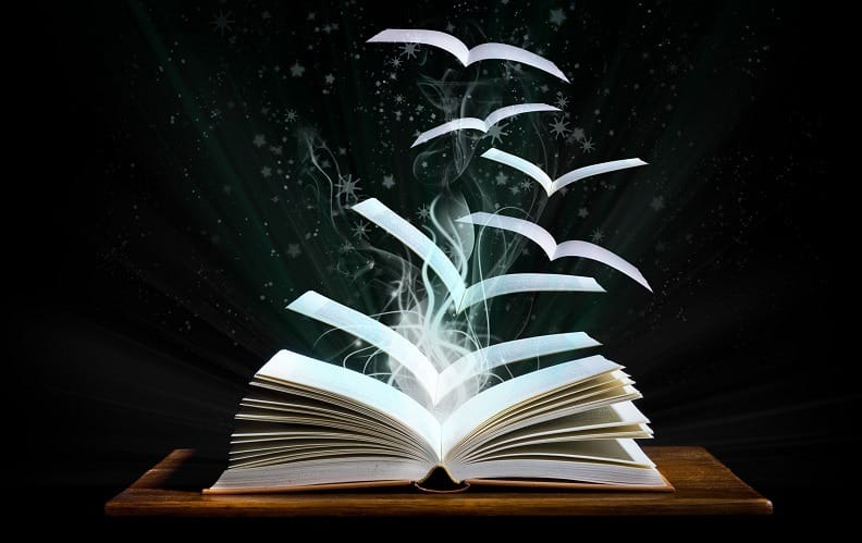 4 conteúdos da semana