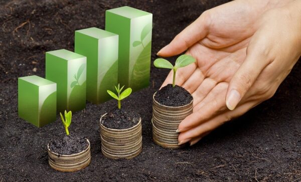 consumo com propósito para marcas de luxo