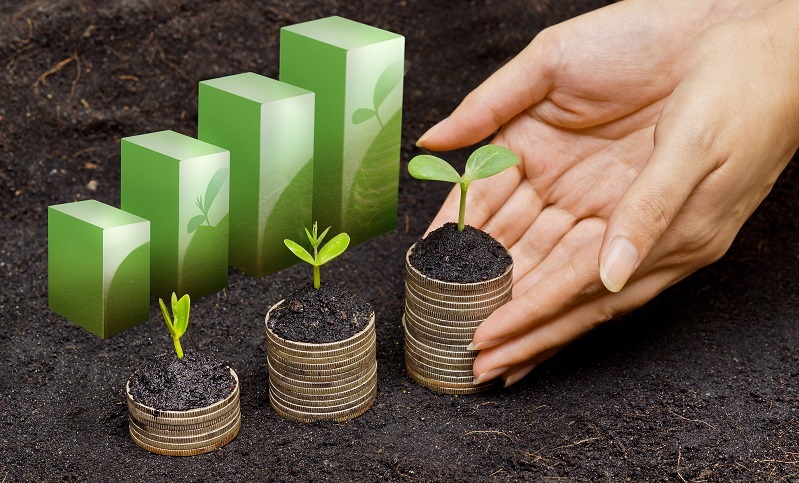 consumo com propósito para marcas de luxo