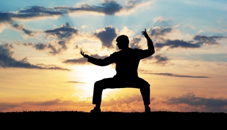 artes marciais podem ensinar para vendas e gestão