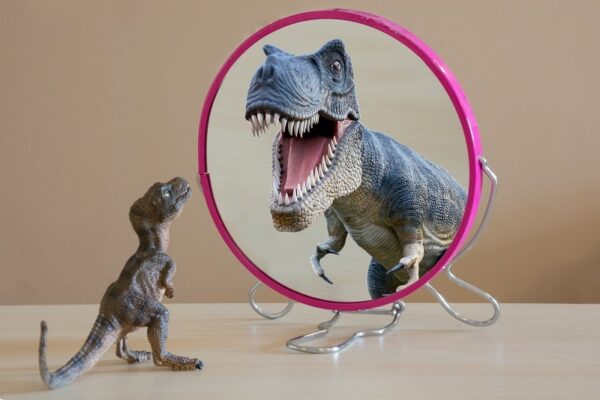 autoconfianca pequeno se enxerga grande através do espelho