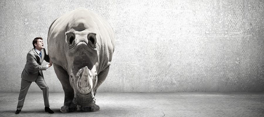 bussola e rinoceronte