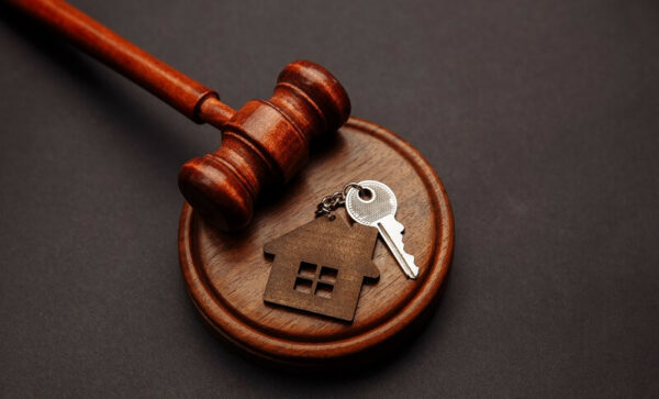 como vender para o governo na pandemia